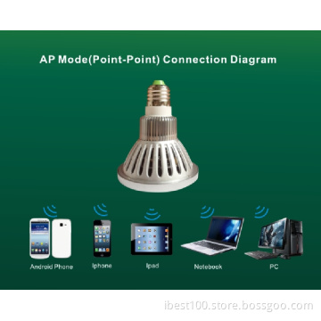 WiFi Bulb DVR HD720p P2p IP Camcorder Lamp/Camera 2 in 1 Wireless Security CCTV Camera for iPad iPhone Android Control Access